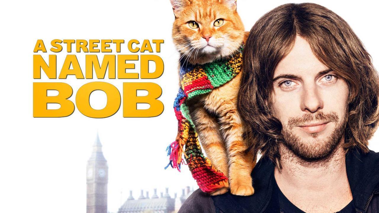 فيلم A Street Cat Named Bob 2016 مترجم كامل HD