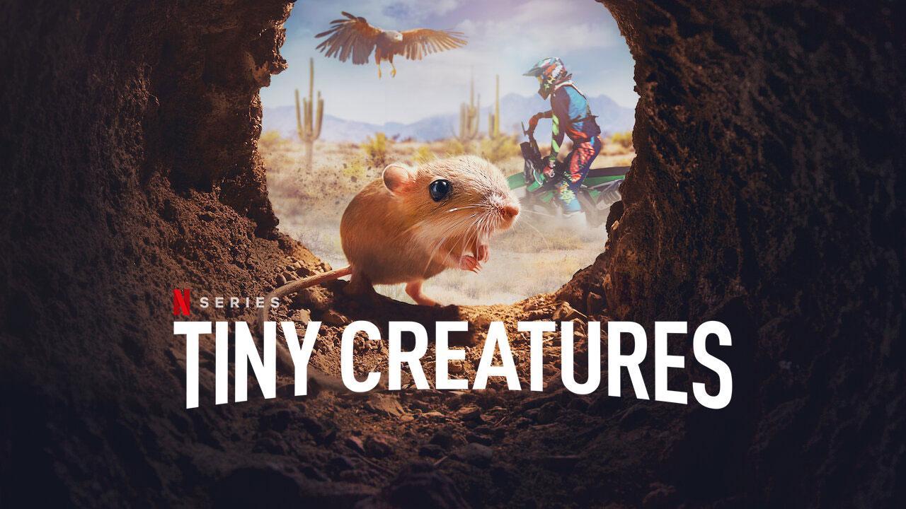 مسلسل Tiny Creatures الموسم الاول الحلقة 5 الخامسة مترجمة