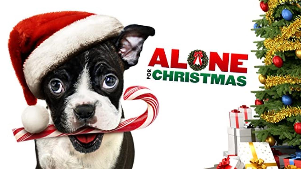 فيلم Alone for Christmas 2013 مترجم كامل HD