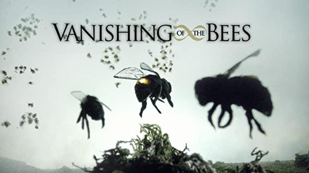 فيلم Vanishing of the Bees 2009 مترجم كامل HD