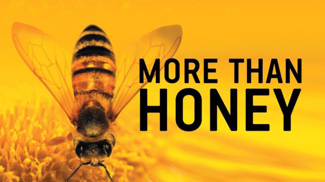 فيلم More Than Honey 2012 مترجم كامل HD